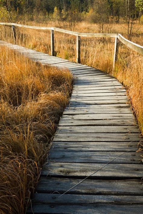 Wooden Path Stock Photo Image Of Golden Road Beautiful 27714884