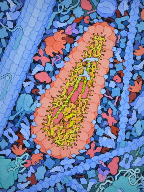 Beautifully Intricate Paintings Of Hiv Ebola And Other Molecules By