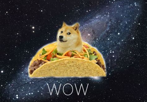 17 Best Images About Doge Boarde On Pinterest Tacos The Internet And