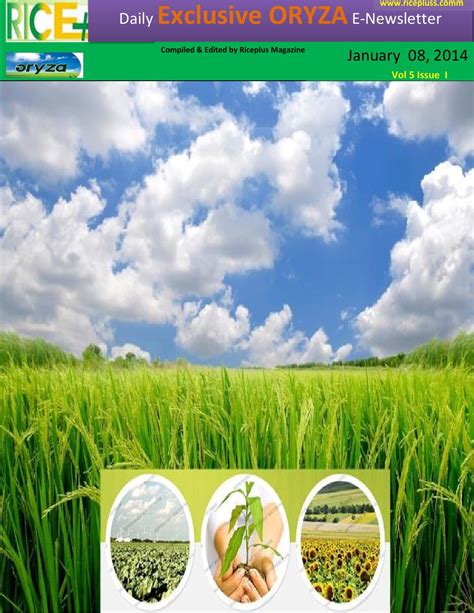 8th January 2015 Daily Exclusive Oryza Rice E Newsletter By Riceplus Magazine By Daily Rice News