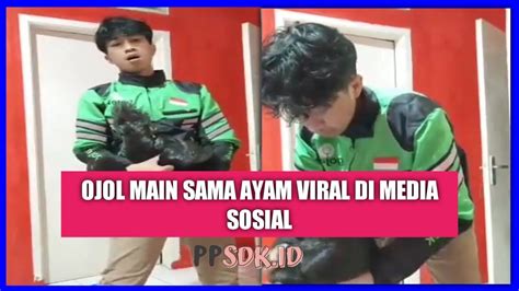 Video Ojol Viral Ayam Viral Tiktok And Twitter Sangat Meresahkan