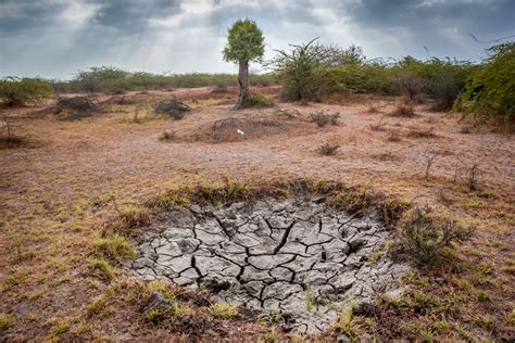People spend much of their days searching for. The Water Scarcity Problem That's Destroying Countries ...