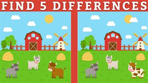 Can You Find 5 Differences Between Two Pictures Easy Level Youtube