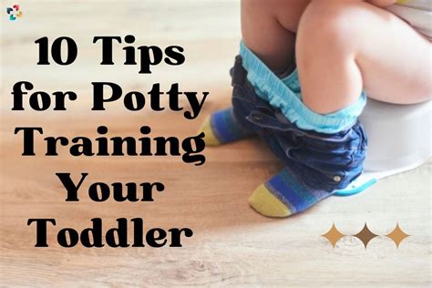10 Badass Tips For Potty Training Your Toddler The Lifesciences Magazine