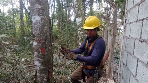Equipamento Para Subir Em árvores
