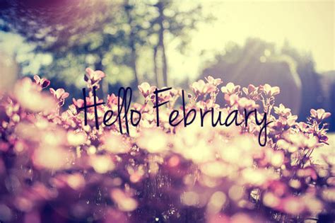 Good Quotes For February Quotesgram