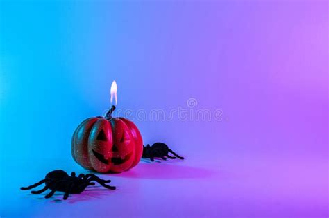 Halloween Decoration Scary Spooky Pumpkin Black Night Spider On Night