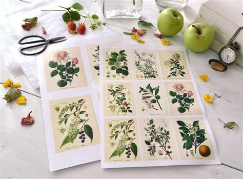 Diy Botanical Labels Or Tags Free Printable Flower Printable