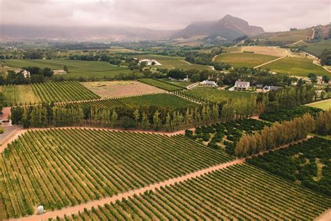 Cape Town The Wondrous Winelands At The Edge Of The World