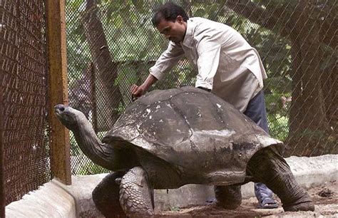 Why Does A Tortoise Live So Long Times Knowledge India