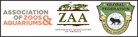 How To Understand Zoo Accreditation — Why Animals Do The Thing