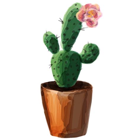Succulent Clipart Cactus Bloom Succulent Cactus Bloom Transparent Free
