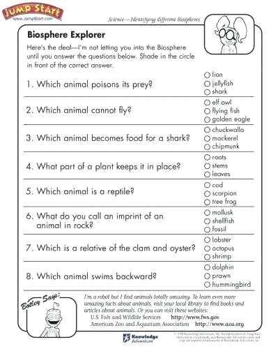 5th Grade Social Studies Worksheets Pdf