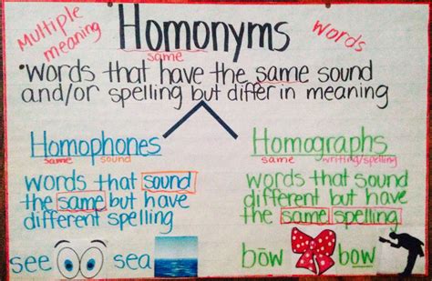 Homonyms Homographs Anchor Chart Classroom Anchor Charts Multiple