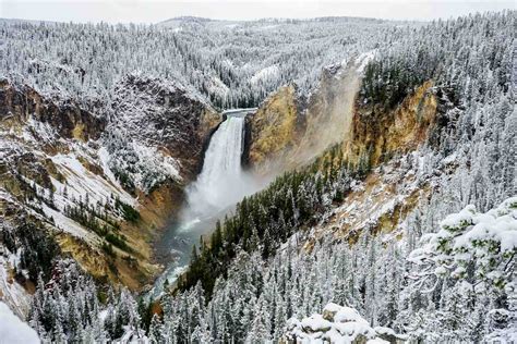 Yellowstone National Park Wyoming Le Guide De Voyage