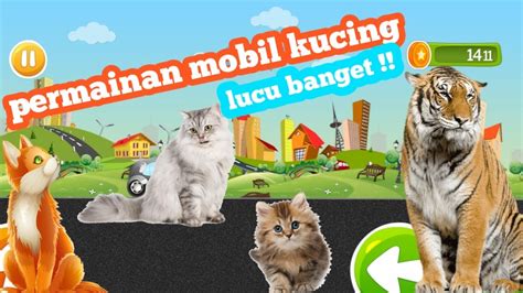 Permainan Mobil Kucing Lucu Bangett Youtube