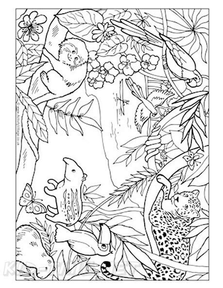 Rainforest Coloring Pages For Preschoolers