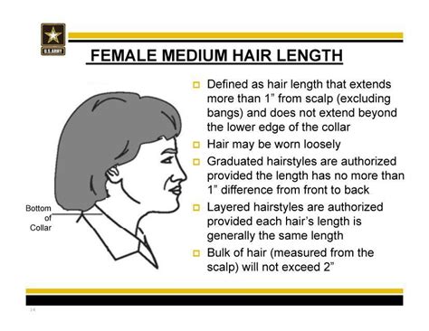 Learn more about the army's grooming standards for 2021, including the regulations for haircuts. Pin on Women Hairstyles