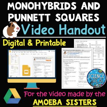 Upload an image and add blanks for students to fill in the missing words. Amoeba Sisters Monohybrid Worksheet - Fraction Arithmetic Christmas Monohybrid Cross Worksheet ...