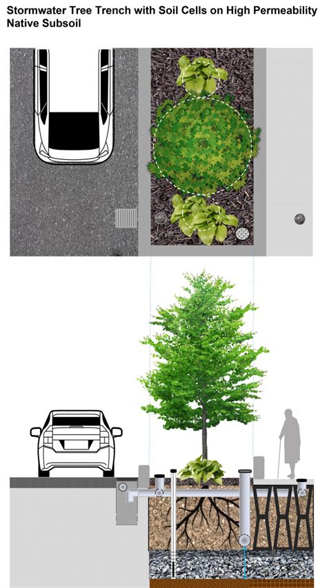 Stormwater Tree Trenches Lid Swm Planning And Design Guide