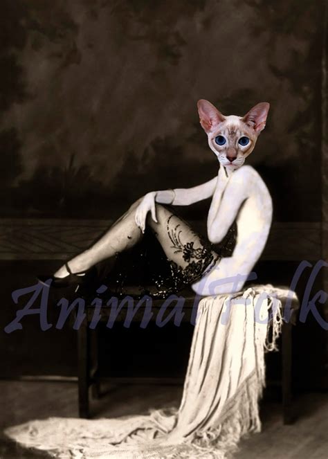 Pin Up Cat Girl Art Mixed Media Collage Print Ziegfeld Follies Etsy