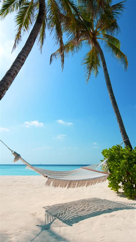 Wallpaper Tropical Beach Beach Resorts Maldives Palm