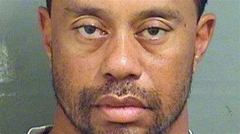 tiger woods arrested for dui alcohol was “not involved” world justice news