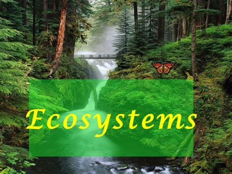 Ecosystem Described Very Attractively Ppt