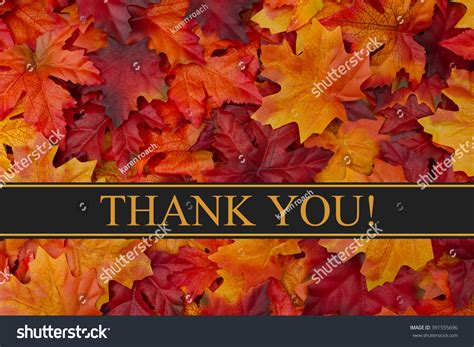 Thank You Message Fall Leaves Background And Text Thank You Stock