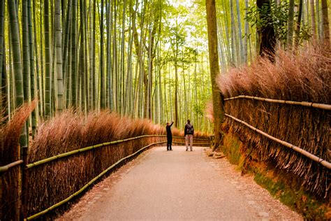 Kyoto Japan November 12 The Path To Bamboo Forest In Kyoto 京菓子 吉廼家