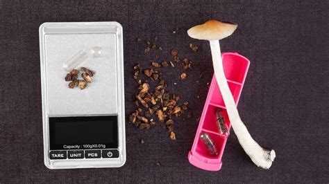 Everything You Need To Know About The Psilocybin Therapy Justpasteit