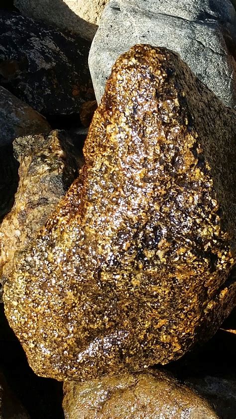 Awesome Gold Specimens Rock Minerals Rocks And Gems