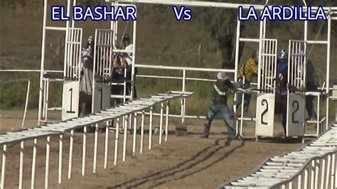 La Ardilla Vs El Bashar 175 Vtp 6nov22 Carril Del Tequesquite Mich