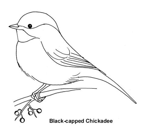A Black And White Drawing Of A Bird On A Branch With Berries In Its Beak