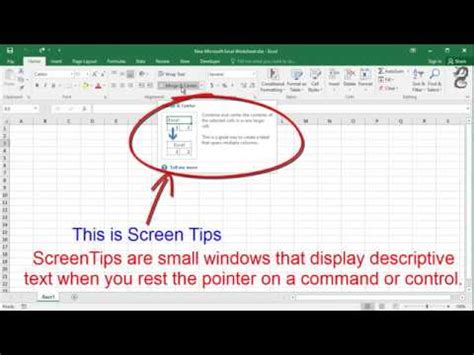 However, some positions are better served by those who are exceptionally strong in this area. What are Screen Tips in Excel: Show or Hide ScreenTips in ...