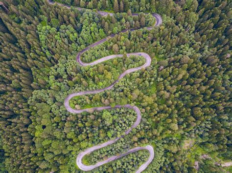 Winding Road Through The Forest From High Mountain Pass In Summer