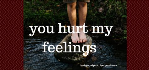 You Hurt My Feelings