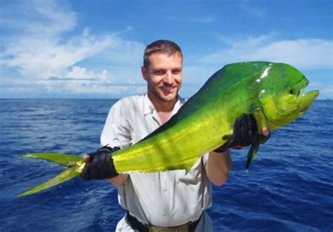 Tuna Vs Mahi Mahi Understanding The Difference