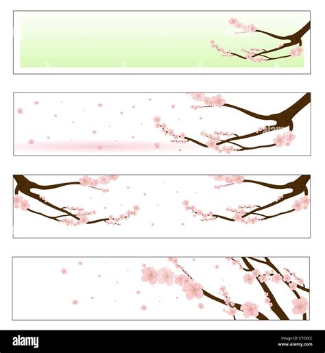 Vector Illustration Of Flowered Sakura Banners Set Stock Photo Alamy