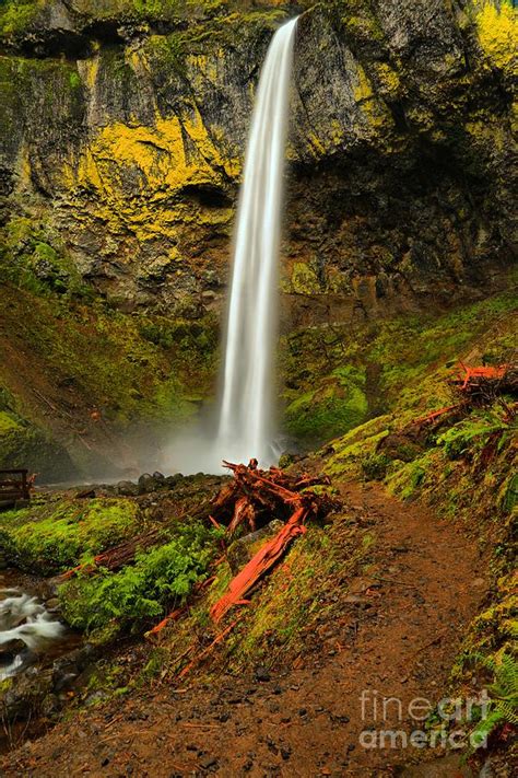 Path To Elowah Falls Photograph By Adam Jewell Fine Art America