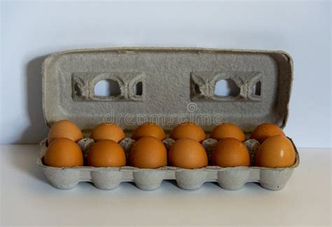 Dozen Large Brown Eggs In Egg Carton Fresh On White Background Stock