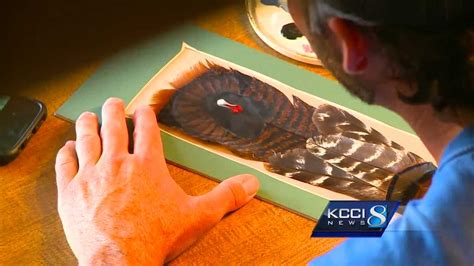 Iowa Man Brings 2 Passions Art And Hunting Together