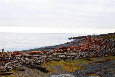 We consider it the place where we fell in love. Traveling to the San Juan Islands in Winter