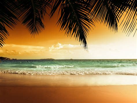 Tropical Paradise Beach Palms Sea Ocean Sunset Beach Sea