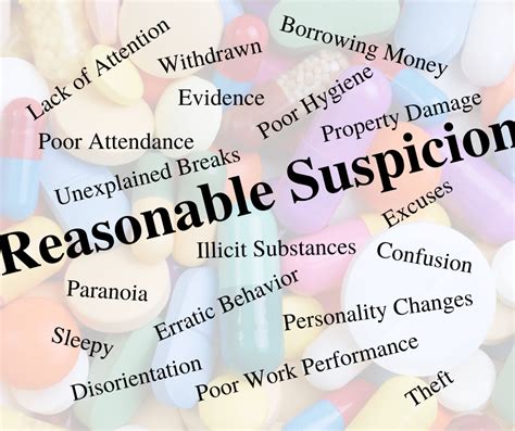 In Your Own Words Please Describe What Reasonable Suspicion Means
