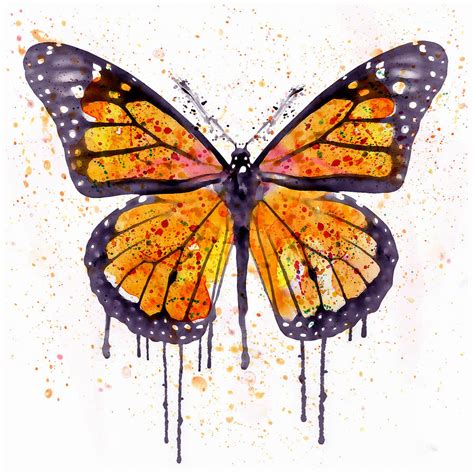 Monarch Butterfly Watercolor Mixed Media By Marian Voicu