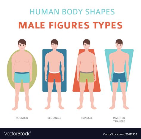 Human Body Shapes Male Figures Types Set Vector Illustration