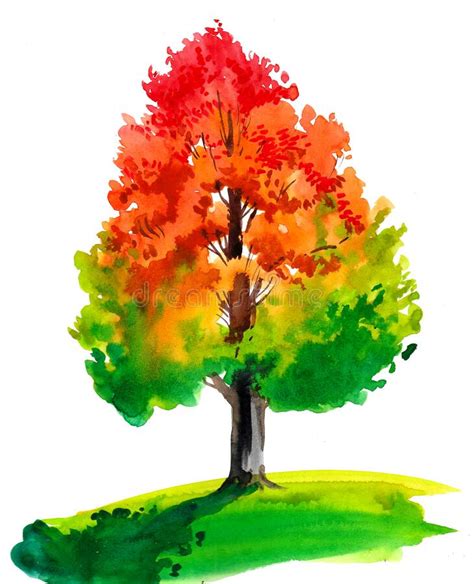 Autumn Tree Stock Illustration Illustration Of Colorful 269372460