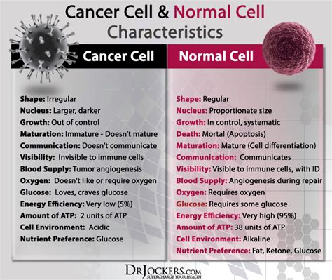 Keto menu examples | benefits | downsides | side effects | is keto right for you? Your Body was Created to Overcome Cancer