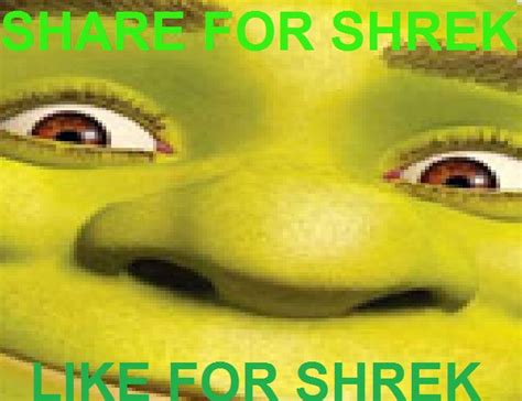 Image 511615 Shrek Know Your Meme